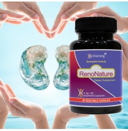 RenoNature|Market Proven Kidney System Energy Booster