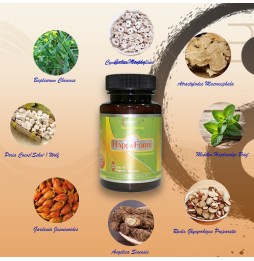 HappyForte|Market Proven Herbal Energy Flow Optimizer