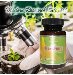 HappyForte|Market Proven Herbal Energy Flow Optimizer