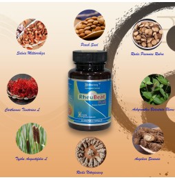 RheuBeatPLus|Market Proven Herbal Blood Flow Optimizer