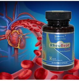 RheuBeatPLus|Market Proven Herbal Blood Flow Optimizer