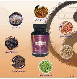 BloodDetox|Market Proven Herbal Blood Cleanser