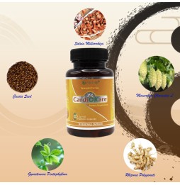CardiOKare|Market Proven Blood Pressure Optimizer
