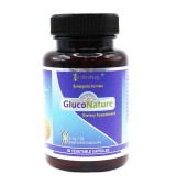 GlucoNature|Market Proven Blood Sugar Optimizer