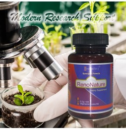 RenoNature|Market Proven Kidney System Energy Booster