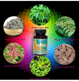 HepaStopForte|Market Proven Herbal Liver System Cleanser
